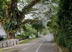 Turf Club Road (D11), Detached #604862821